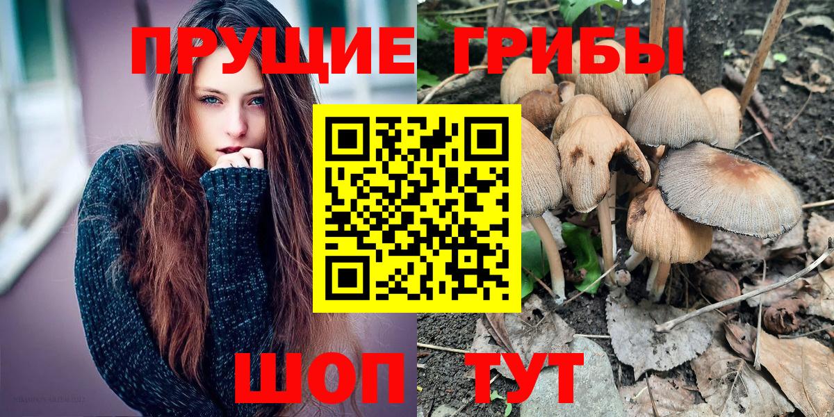 Галлюциногенные грибы прущие грибы Павлово